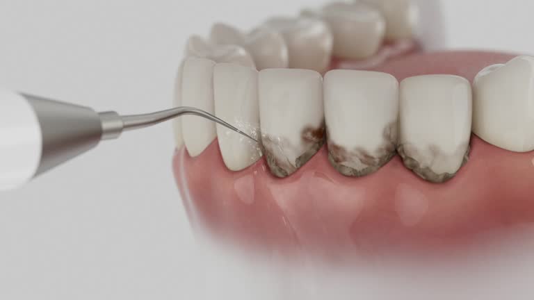 Reliable Dental contractor in Long Branch, NJ by Dentist Open Now